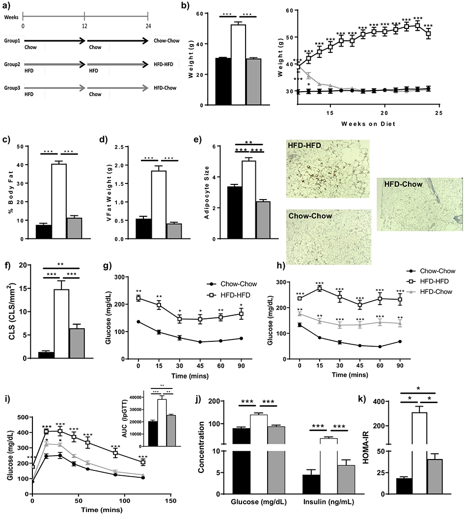 Obesogenic Memory Maintains Adipose Tissue Inflammation and Insulin Resistance.