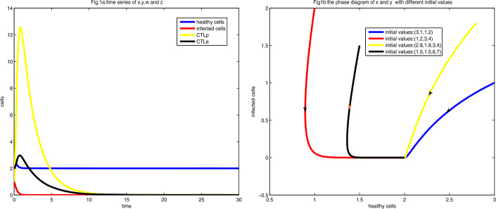 Dynamics of an HIV model with cytotoxic T-lymphocyte memory.