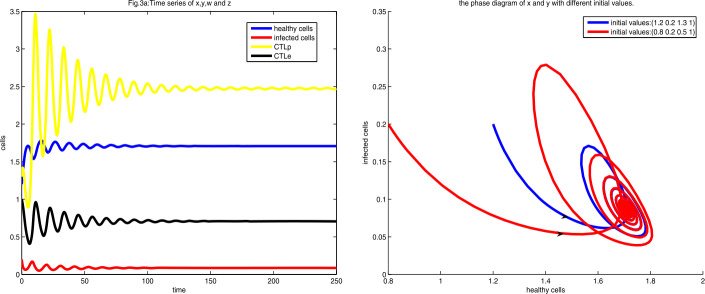 Dynamics of an HIV model with cytotoxic T-lymphocyte memory.