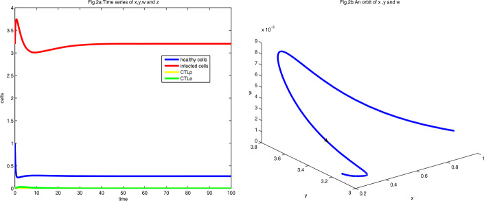 Dynamics of an HIV model with cytotoxic T-lymphocyte memory.