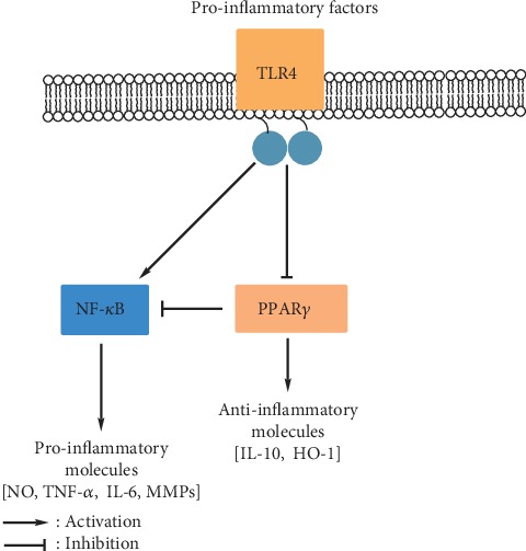 Peroxisome Proliferator-Activated Receptors as a Therapeutic Target in Asthma.