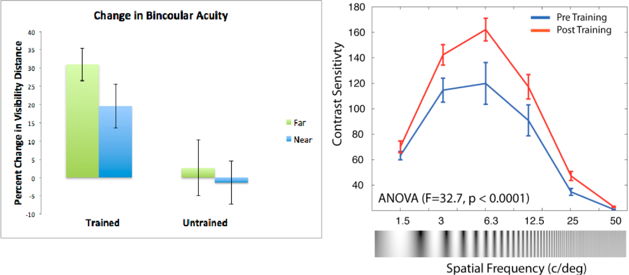 Development and Evaluation of a Visual Remediation Intervention for People with Schizophrenia.