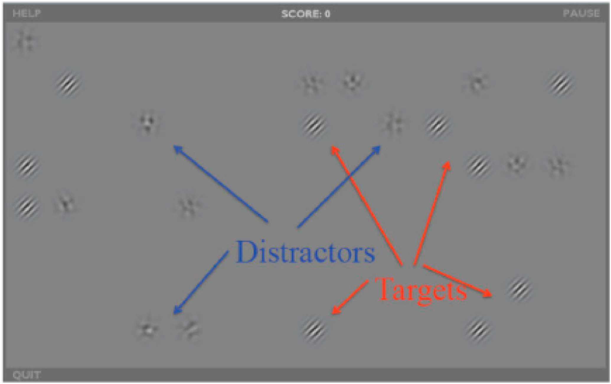 Development and Evaluation of a Visual Remediation Intervention for People with Schizophrenia.