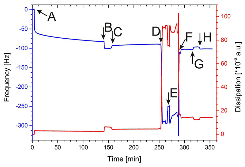 Formation and characteristics of mixed lipid/polymer membranes on a crystalline surface-layer protein lattice.