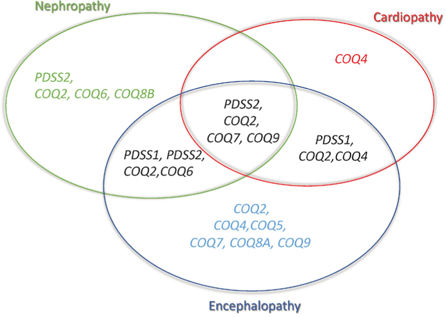 Redefining infantile-onset multisystem phenotypes of coenzyme Q<sub>10</sub>-deficiency in the next-generation sequencing era.