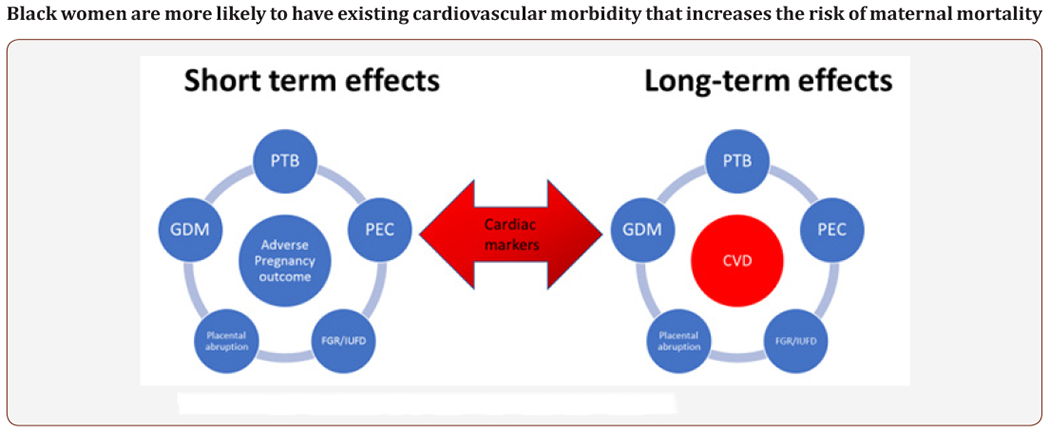 Black Box Warning: Cardiovascular Complications Make Motherhood Unsafe for African American Women.