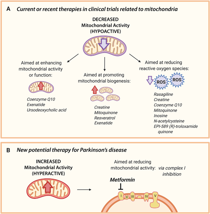 Mitochondrial hyperactivity as a potential therapeutic target in Parkinson’s disease