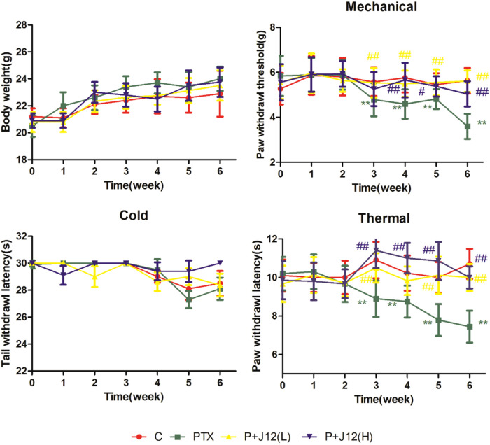 Siwei Jianbu decoction improves painful paclitaxel-induced peripheral neuropathy in mouse model by modulating the NF-κB and MAPK signaling pathways.