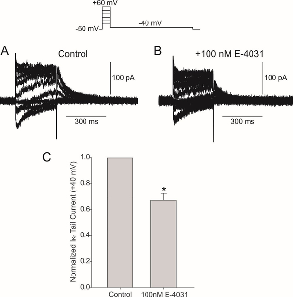 Role of the rapid delayed rectifier K<sup>+</sup> current in human induced pluripotent stem cells derived cardiomyocytes.