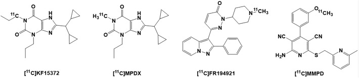 Purinergic Receptors of the Central Nervous System: Biology, PET Ligands, and Their Applications.