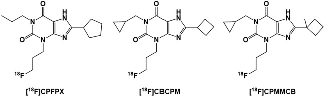 Purinergic Receptors of the Central Nervous System: Biology, PET Ligands, and Their Applications.