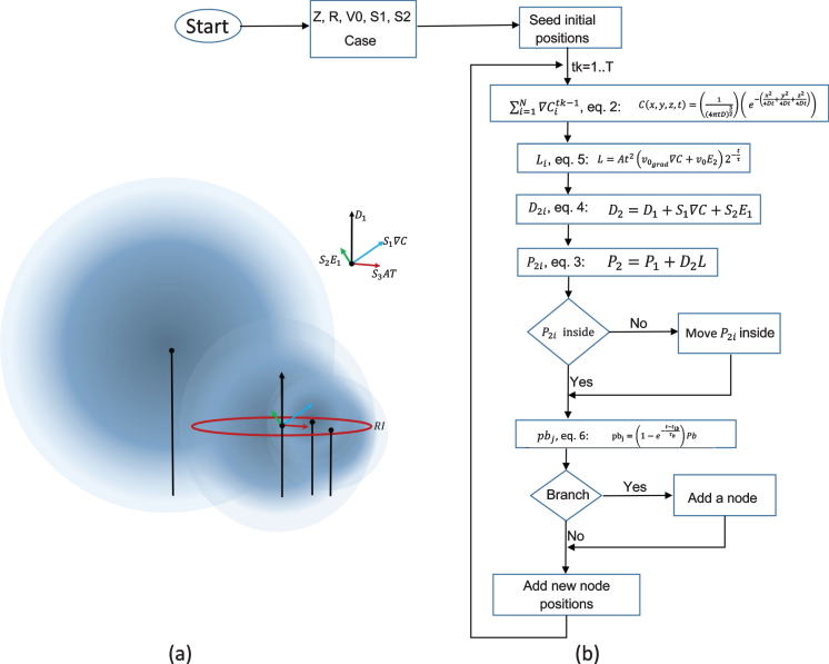 A computational model of bidirectional axonal growth in micro-tissue engineered neuronal networks (micro-TENNs).