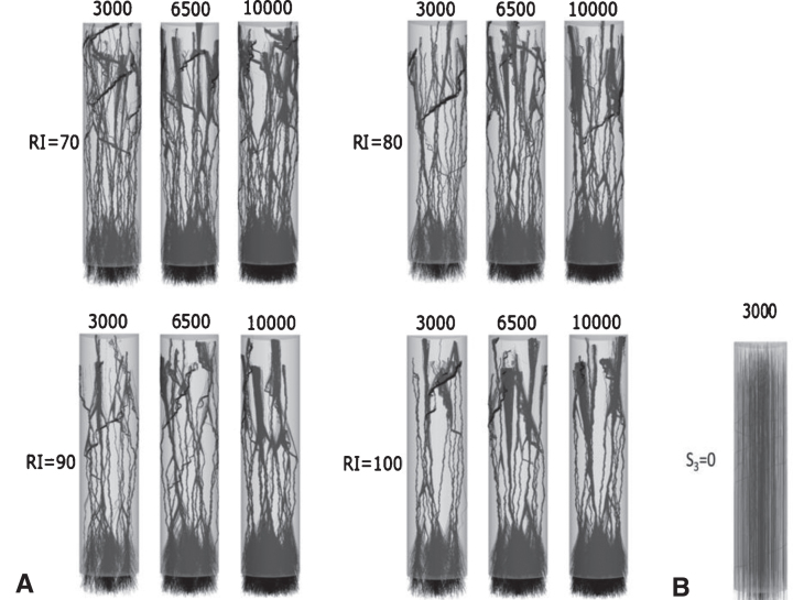 A computational model of bidirectional axonal growth in micro-tissue engineered neuronal networks (micro-TENNs).