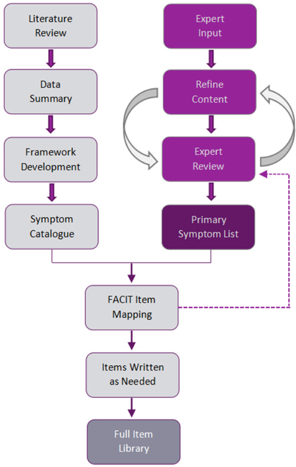 Development of a Functional Assessment of Chronic Illness Therapy item library and primary symptom list for the assessment of patient-reported adverse events associated with immune checkpoint modulators.