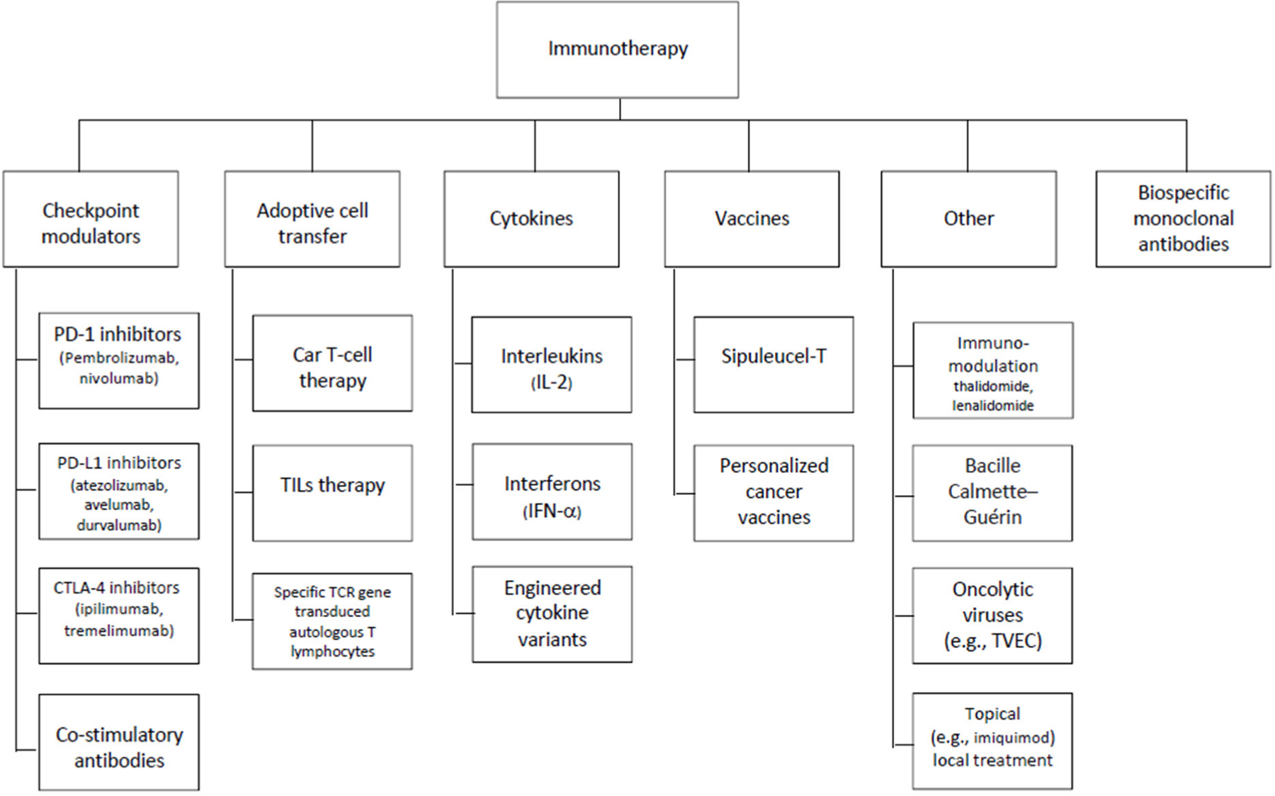 Development of a Functional Assessment of Chronic Illness Therapy item library and primary symptom list for the assessment of patient-reported adverse events associated with immune checkpoint modulators.