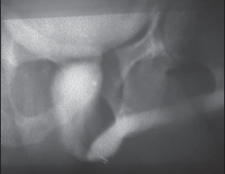Abstract Image