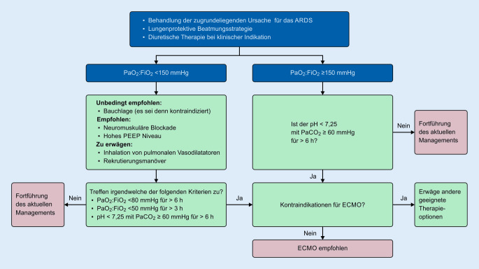 [Recommendations for Extracorporeal Membrane Oxygenation (ECMO) in COVID-19 Patients].