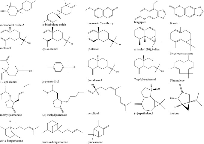 An Assay on the Possible Effect of Essential Oil Constituents on Receptors Involved in Women's Hormonal Health and Reproductive System Diseases.