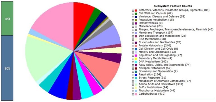 Draft genome sequences of <i>Salmonella</i> Oslo isolated from seafood and its laboratory generated auxotrophic mutant.