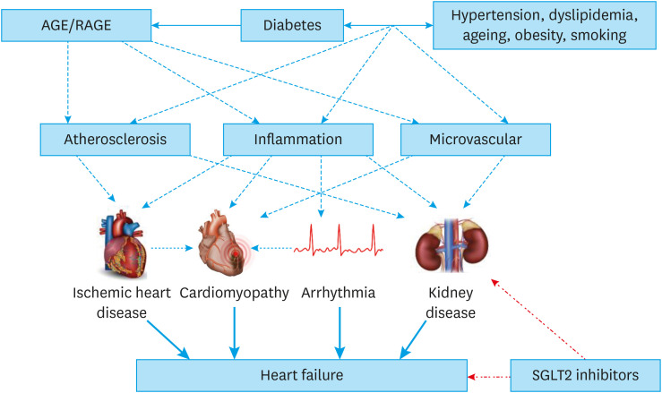 Sodium-glucose Co-transporters-2 Inhibitors and Heart Failure: State of the Art Review and Future Potentials.