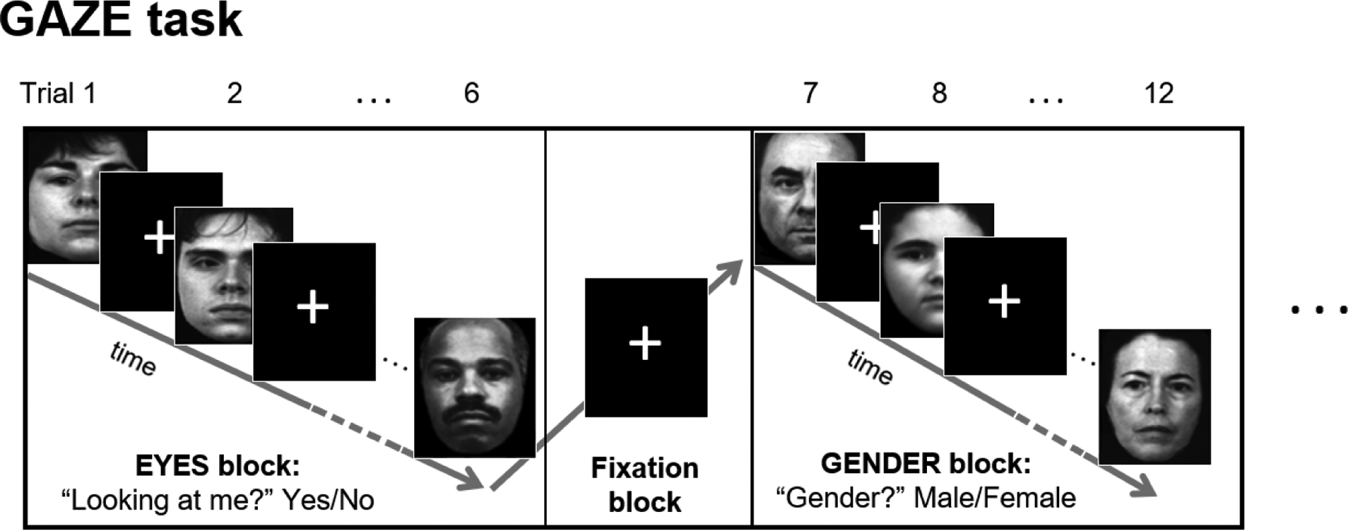 Disrupted Eye Gaze Perception as a Biobehavioral Marker of Social Dysfunction: An RDoC Investigation.