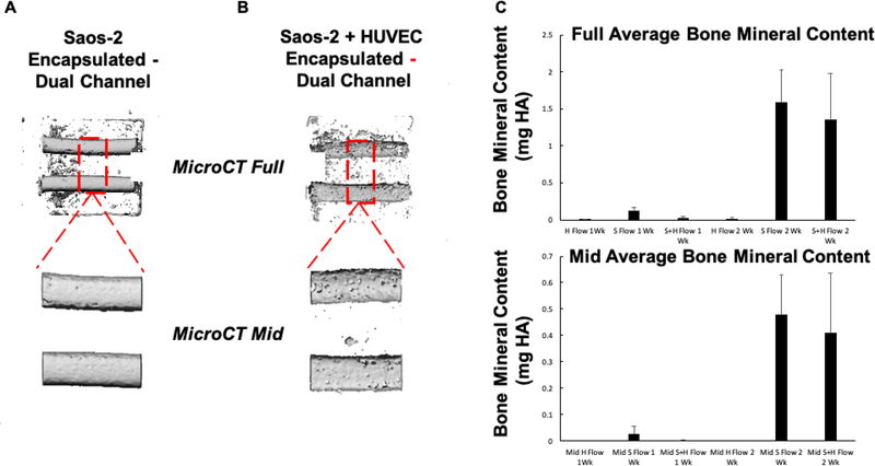 Perfusion-based co-culture model system for bone tissue engineering.