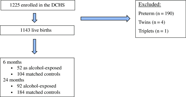 Prenatal alcohol exposure is associated with early motor, but not language development in a South African cohort.