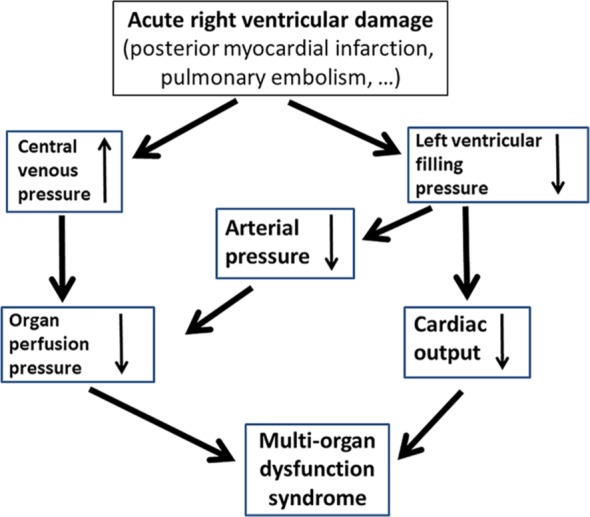 Acute right heart failure: future perspective with the PERKAT RV pulsatile right ventricular support device.