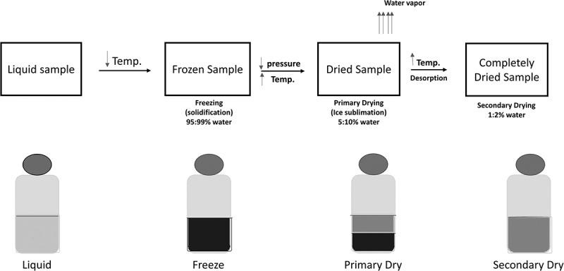 Preservation techniques of stem cells extracellular vesicles: a gate for manufacturing of clinical grade therapeutic extracellular vesicles and long-term clinical trials.
