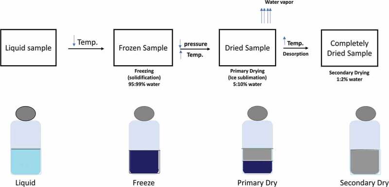 Preservation techniques of stem cells extracellular vesicles: a gate for manufacturing of clinical grade therapeutic extracellular vesicles and long-term clinical trials.