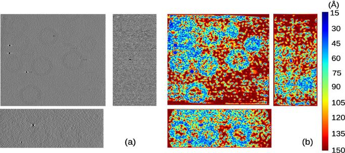 Measurement of local resolution in electron tomography