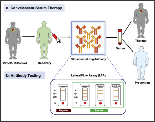 Biomarkers of COVID-19 and technologies to combat SARS-CoV-2