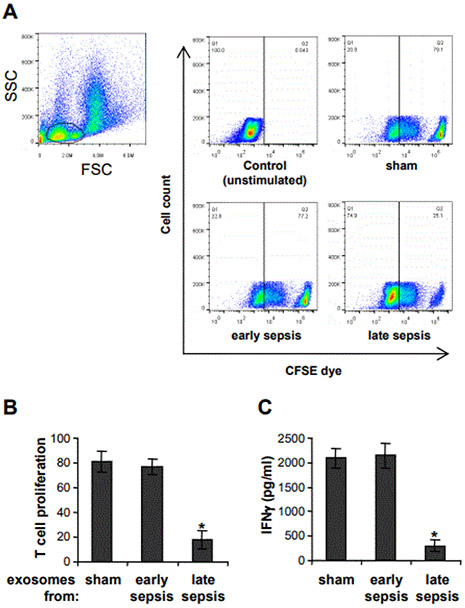 Long Non-Coding RNA Hotairm1 Promotes S100A9 Support of MDSC Expansion during Sepsis.
