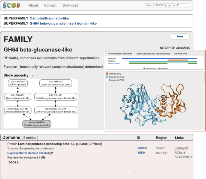 The SCOP database in 2020: expanded classification of representative family and superfamily domains of known protein structures.