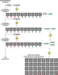 SIMPLE 3.0. Stream single-particle cryo-EM analysis in real time