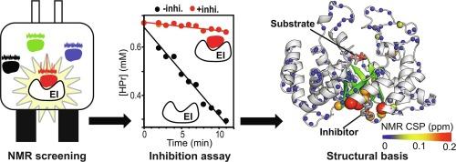 An allosteric pocket for inhibition of bacterial Enzyme I identified by NMR-based fragment screening