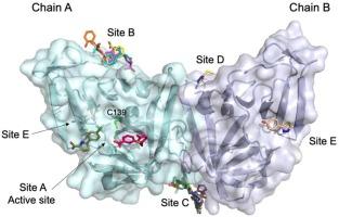 In crystallo-screening for discovery of human norovirus 3C-like protease inhibitors