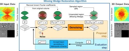 A Monte Carlo framework for missing wedge restoration and noise removal in cryo-electron tomography