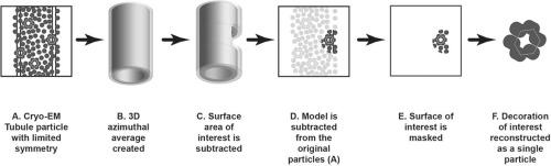 Reconstruction of Average Subtracted Tubular Regions (RASTR) enables structure determination of tubular filaments by cryo-EM