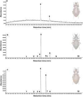 Pygidial gland secretions of Carabus Linnaeus, 1758 (Coleoptera: Carabidae): chemicals released by three species