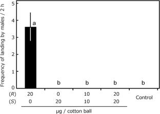 Does the orchid Luisia teres attract its male chafer pollinators (Scarabaeidae: Protaetia pryeri pryeri) by sexual deception?