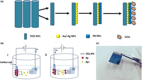 A novel antimicrobial electrochemical glucose biosensor based on silver–Prussian blue-modified TiO2 nanotube arrays