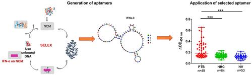 An Aptamer Linked Immobilized Sorbent Assay (ALISA) to Detect Circulatory IFN-α, an Inflammatory Protein among Tuberculosis Patients