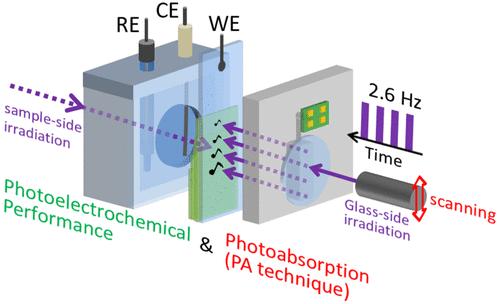 Simultaneous Measurements of Photoabsorption and Photoelectrochemical Performance for Thickness Optimization of a Semiconductor Photoelectrode