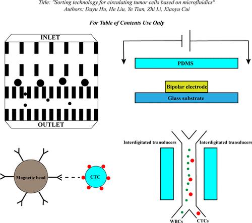 Sorting Technology for Circulating Tumor Cells Based on Microfluidics