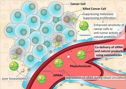 Progress in Natural Compounds/siRNA Co-delivery Employing Nanovehicles for Cancer Therapy