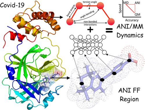 Profiling SARS-CoV-2 Main Protease (MPRO) Binding to Repurposed Drugs Using Molecular Dynamics Simulations in Classical and Neural Network-Trained Force Fields