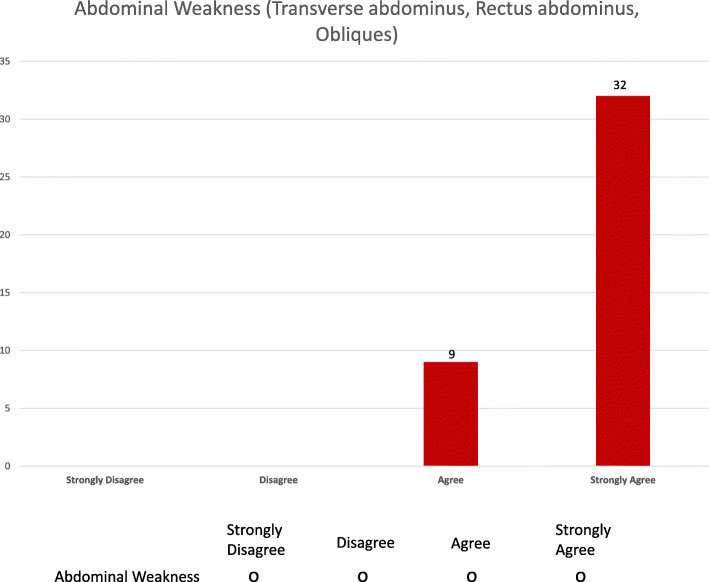 Common musculoskeletal impairments in postpartum runners: an international Delphi study.