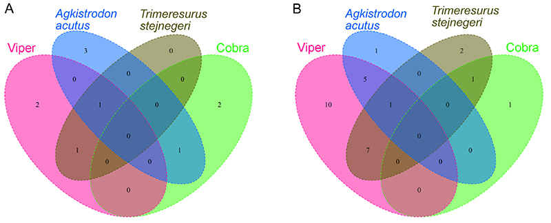 Oxidative stress and antioxidant defense in detoxification systems of snake venom-induced toxicity.