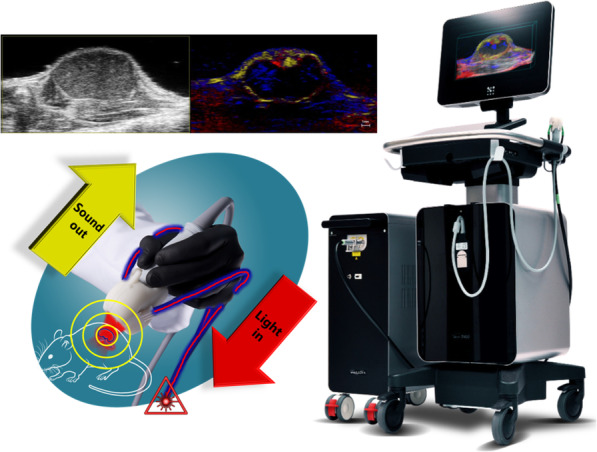 Recent advances in applications of multimodal ultrasound-guided photoacoustic imaging technology.